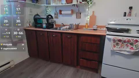 Kittyymaze online show from January 7, 1:14 pm