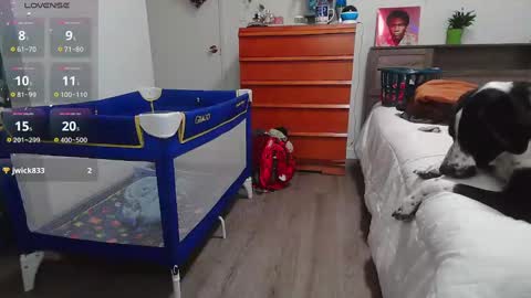 Kittyymaze online show from January 19, 2:28 pm