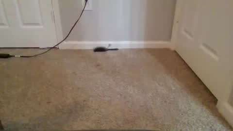 kkristy07 online show from February 21, 2:56 am