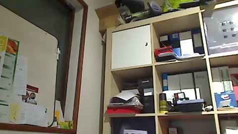 kokin3034 online show from January 8, 1:20 pm