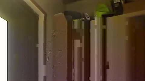 kokin3034 online show from October 8, 4:43 am