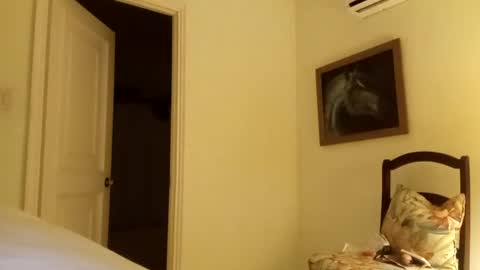 kokobutther online show from August 5, 2:36 am