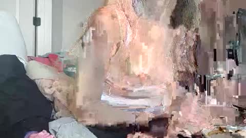 Korina online show from December 16, 7:41 pm