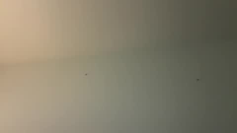 kovapoika online show from October 23, 10:58 am