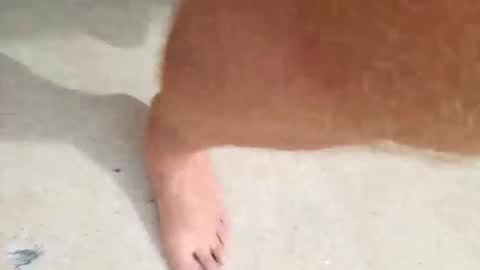 Snapshot of kramit1222 chatting on September 24, 4:43 pm kramit1222 online show from September 24, 4:43 pm