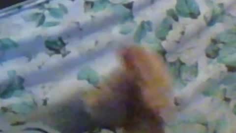 kren565656 online show from December 10, 11:32 am