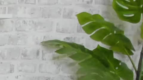 Kristi online show from December 15, 9:45 am