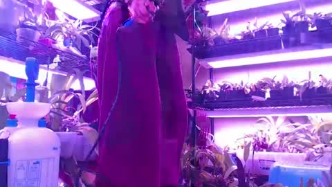 Snapshot of krookedorchid chatting on October 30, 10:06 am krookedorchid online show from October 30, 10:06 am