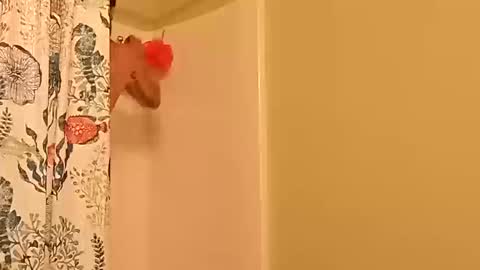 Snapshot of kyleisabadname chatting on October 20, 12:44 am kyleisabadname online show from October 20, 12:44 am