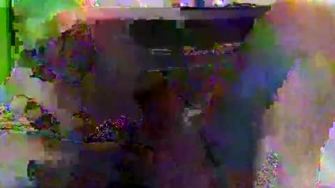 Snapshot of kylevogt2024 chatting on April 14, 3:56 am kylevogt2024 online show from April 14, 3:56 am