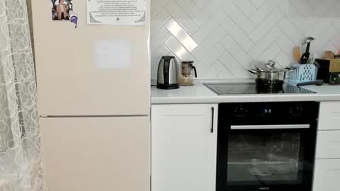 Din online show from November 15, 12:13 pm