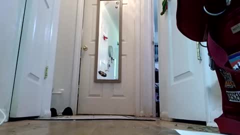 lacybell online show from January 8, 2:14 am