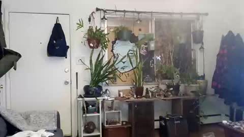 lacybell online show from March 2, 3:45 am