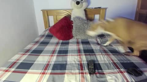 Akyra  online show from October 25, 1:07 pm