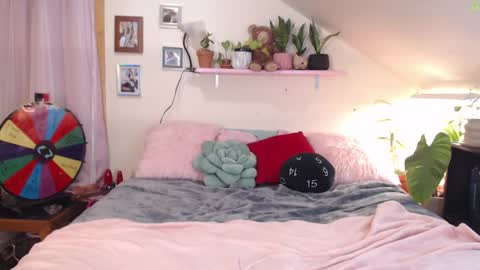 ladyboyhomemaker online show from January 25, 8:00 am