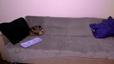 LadyTrep online show from January 31, 7:56 pm