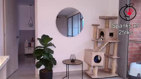 Laira online show from February 11, 10:48 pm