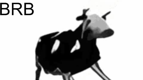 just call me Lana  and her security online show from February 15, 5:28 pm