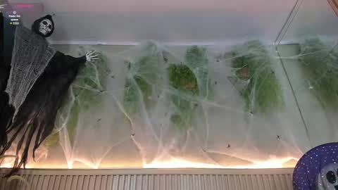 lana_lann online show from October 30, 2:40 pm