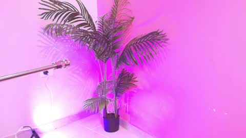 LANA online show from April 3, 4:10 am