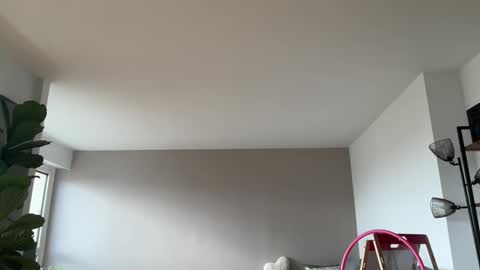 Lanimal online show from October 27, 8:51 am