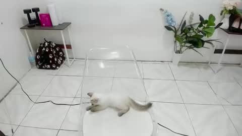 Kendra online show from February 19, 5:47 am