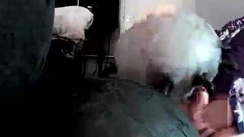 latexchris77 online show from April 14, 5:24 am