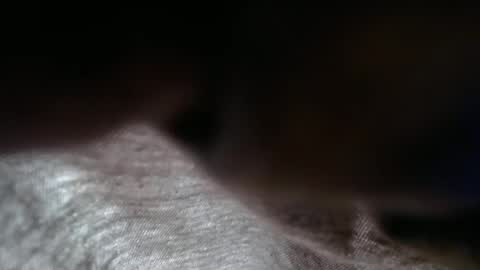 launeeee1 online show from February 3, 2:55 pm