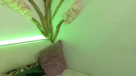     online show from June 11, 12:14 pm