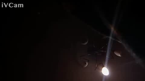 Snapshot of laydayy chatting on January 12, 10:37 pm laydayy online show from January 12, 10:37 pm