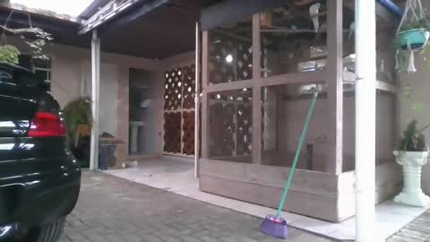 kelly online show from December 22, 8:28 pm