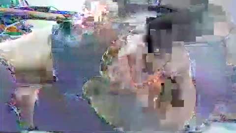 ldm0510 online show from May 30, 1:57 am