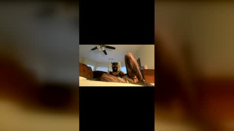 lelesmayone online show from May 25, 10:54 am