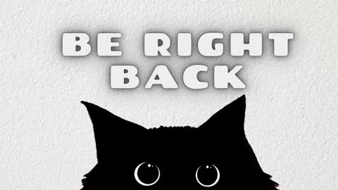 leoguessme online show from February 21, 11:44 am