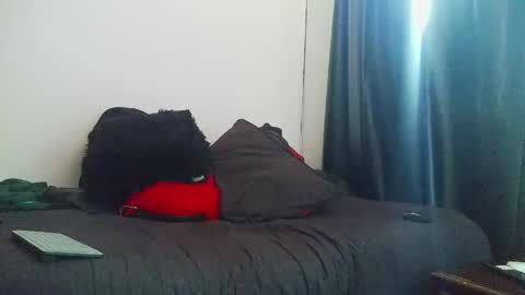 Torres online show from April 27, 12:36 pm