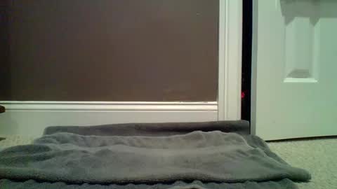 Snapshot of lets_orgasm_ chatting on January 27, 12:54 am Lets Orgasm online show from January 27, 12:54 am