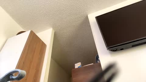 lety hot online show from December 4, 3:54 pm