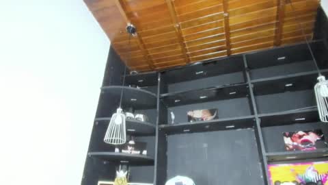 LevySteven online show from February 19, 10:23 am