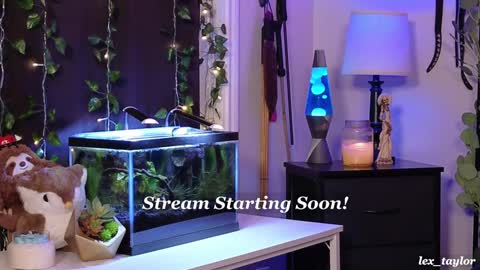 Lex online show from December 19, 4:46 pm