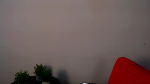Alexia online show from May 15, 11:17 am