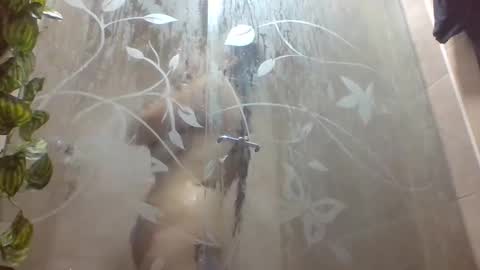 Snapshot of leyla_horny_bg chatting on December 22, 9:56 pm leyla_horny_bg online show from December 22, 9:56 pm