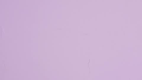 LIA  online show from May 30, 3:42 pm