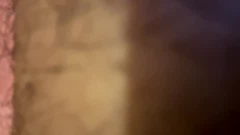 Snapshot of lightbulb444555 chatting on September 17, 4:25 am lightbulb444555 online show from September 17, 4:25 am