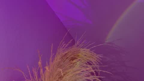 Liiam Luna online show from January 17, 9:14 am