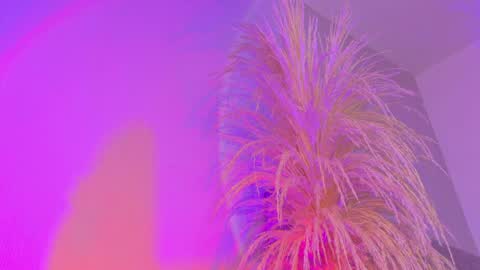 Liiam Luna online show from April 3, 10:02 am