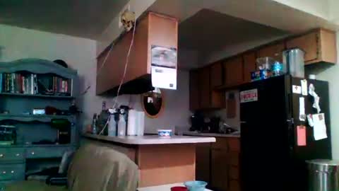 likerightnow online show from April 2, 3:04 am