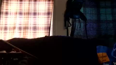 Snapshot of lildurke65 chatting on February 10, 9:19 pm lildurke65 online show from February 10, 9:19 pm