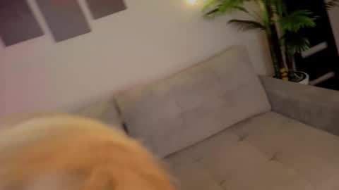 Snapshot of lililok101 chatting on October 17, 2:04 am lililok101 online show from October 17, 2:04 am