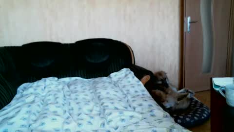 Snapshot of lilithris chatting on April 1, 12:28 pm Lenkaa777 online show from April 1, 12:28 pm