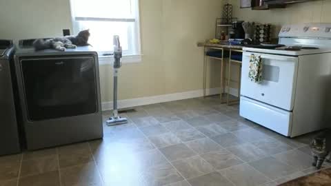 lilly_adams88 online show from March 21, 9:51 pm